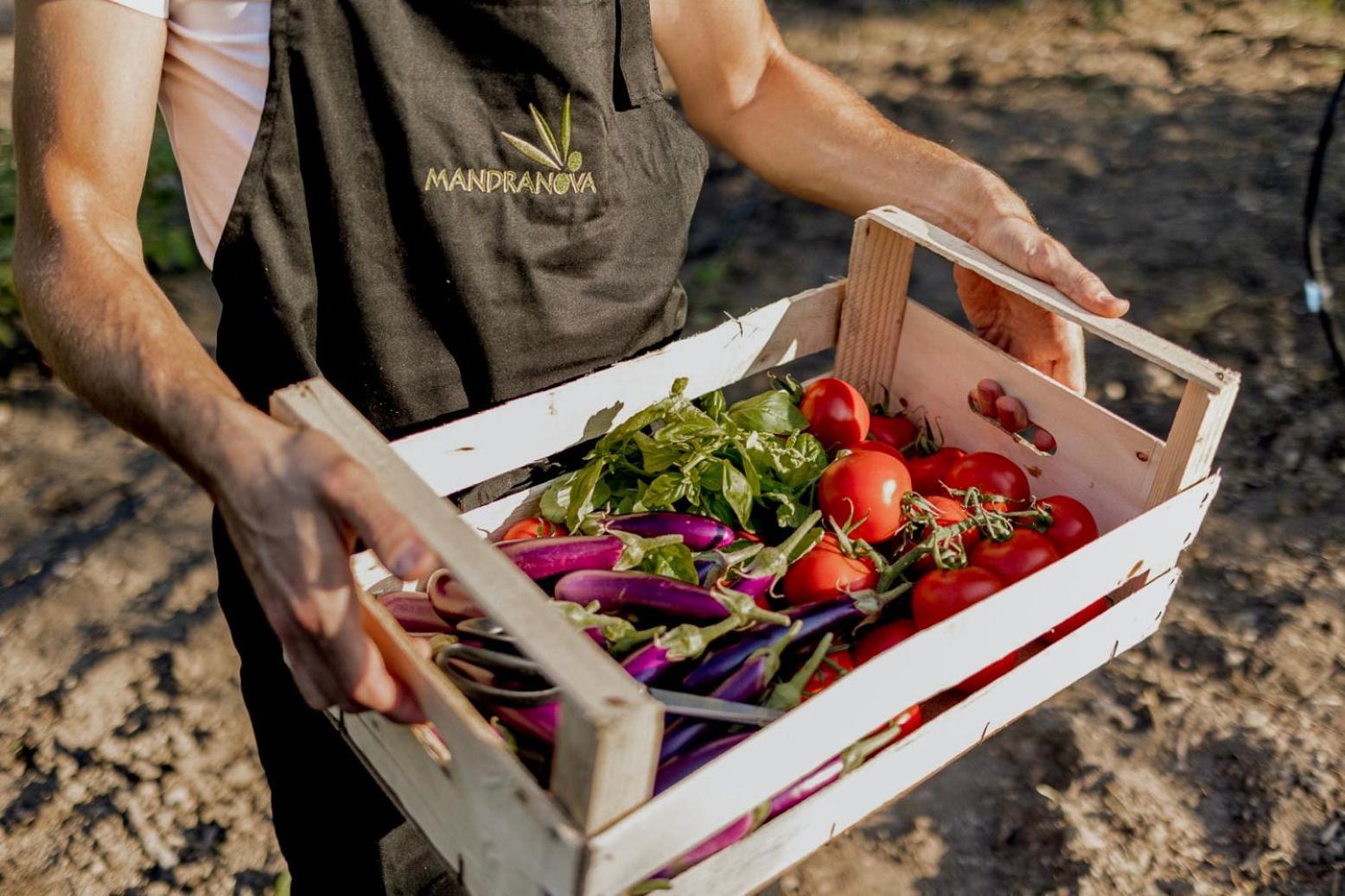 Azienda Agricola Mandranova Palma di Montechiaro Eksteriør billede
