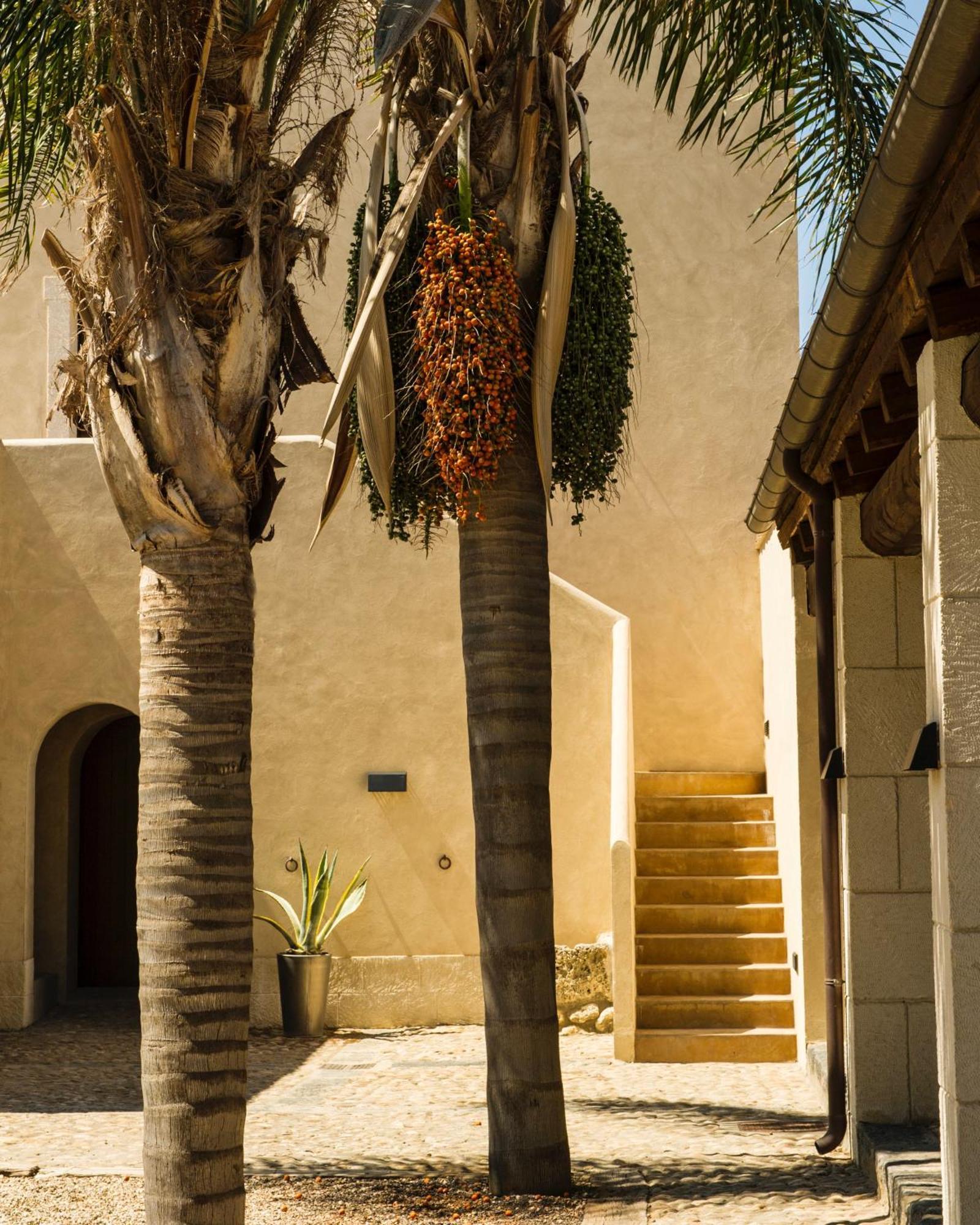 Azienda Agricola Mandranova Palma di Montechiaro Eksteriør billede